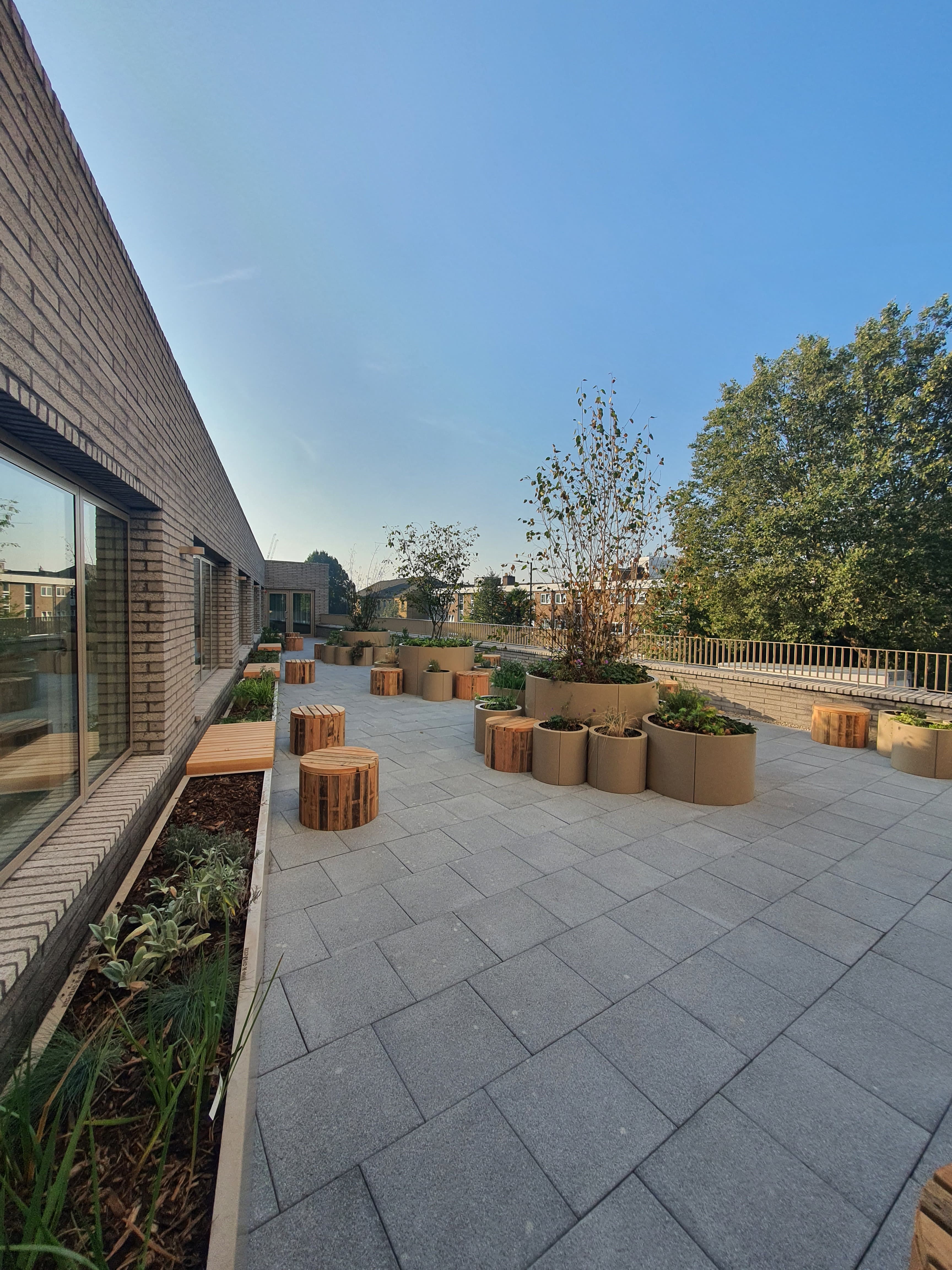 Daventry House (Lisson Arches), Westminster: residents' roof garden at golden hour, oak planters and benches around a frameless glass skylight set into the brick deck, with a slim autumn tree backlit by low sun