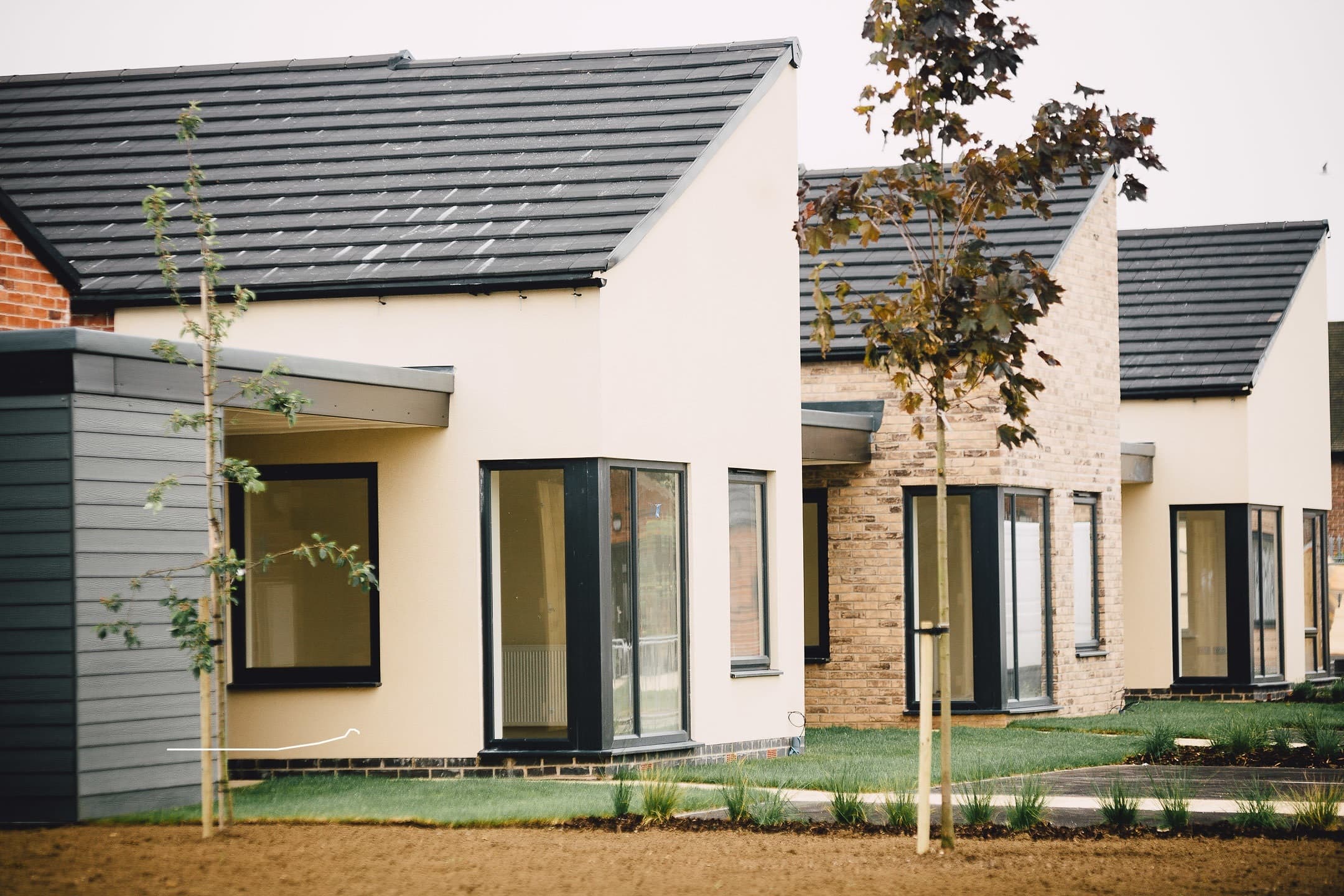 Newbridge Village, Hull: completed row of cream-rendered single-storey bungalows with grey-slate pitched roofs and full-height glazing, young trees in the foreground, Pickering and Ferens Homes affordable scheme
